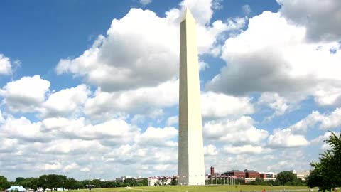 We Are Ruled by Fools