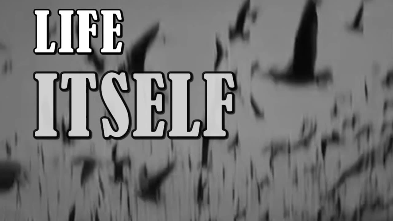 Motivation is life