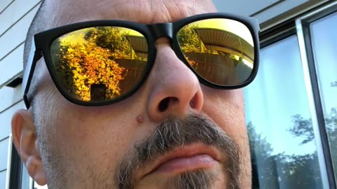 Humpday Summer Update