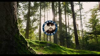 Local Elections & Podcast Update | The World of Momus