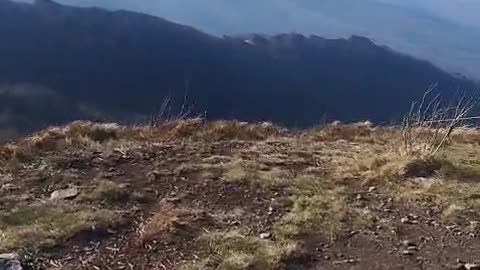 Wild Nature – Wind on the Mountain Peak | Bieszczady, Poland
