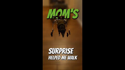 Mom's Surprise, helped me walk