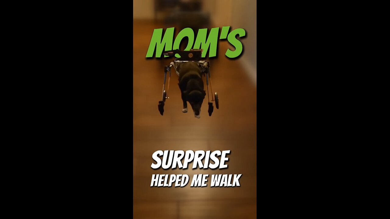 Mom's Surprise, helped me walk