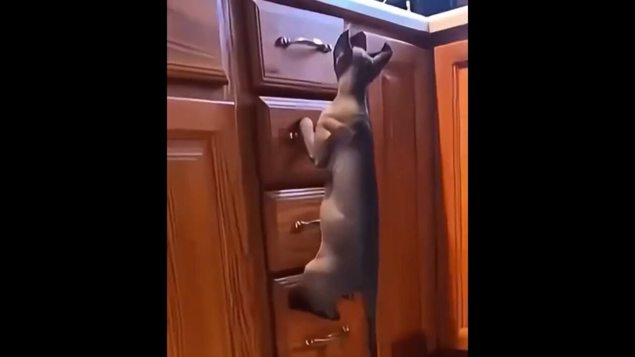 Funny