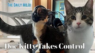 Doc Kitty Takes Over! | Ep: 080625 The Daily MoJo