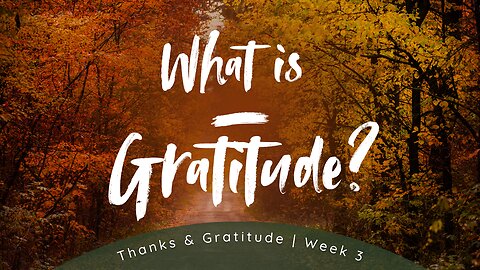 The Difference Between Gratitude and Thanksgiving | Bible, Bros & Brew