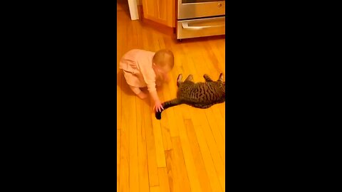 Funny Babys👶with funny cats😸