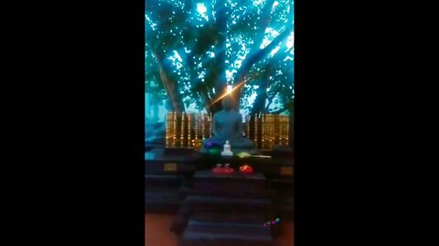 Morning vibes🥰in temple🙏