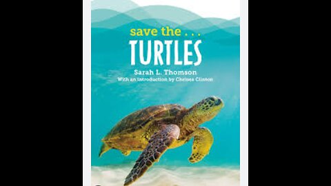 save the turtle 🐢