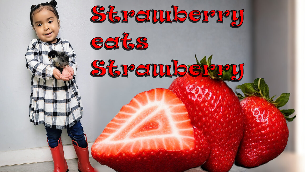 Do baby chickens like strawberries