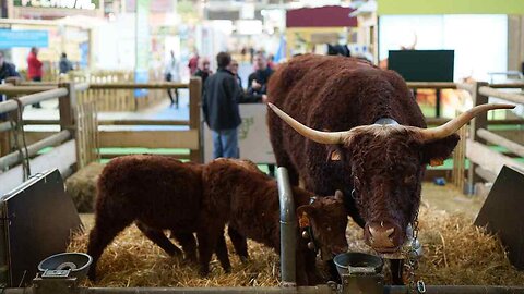 Le Salon de l’Agriculture – Les Reportages de Vincent Lapierre [Flokossama]