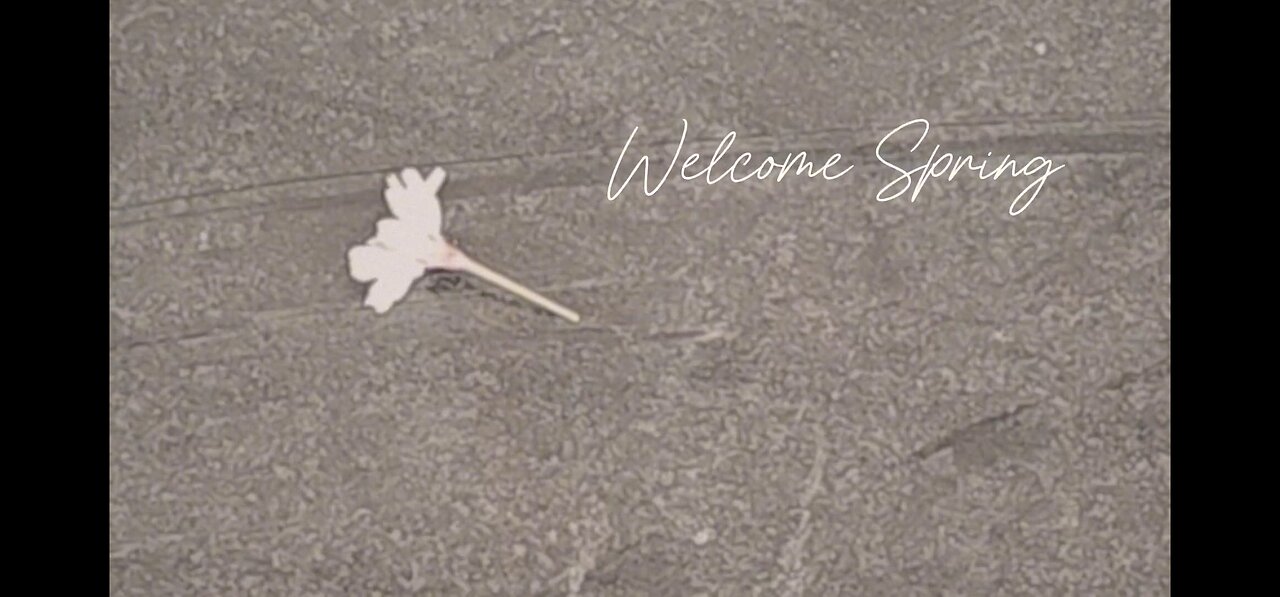 Welcome Spring