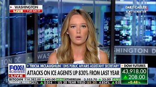 DHS Official Urges Democrats to Stop Calling ICE Agents 'Modern Day Gestapo'
