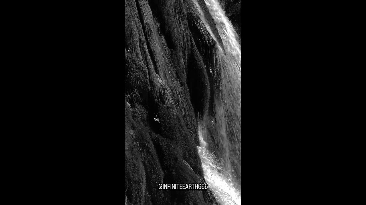 walk away from anyone or anything