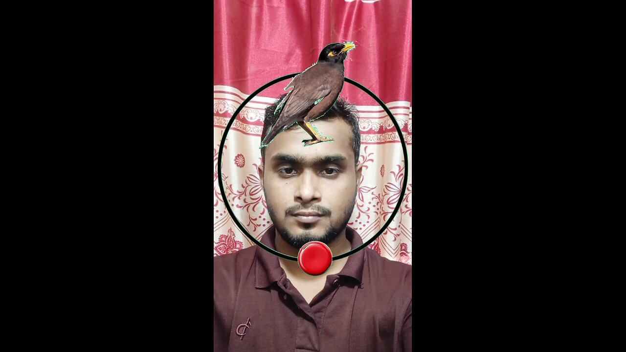 শালিকের মাথাটি জোড়া লাগান ৪১ #reels #puzzle #viral #challenge #tending #Amazing #foryou