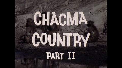 Mutual of Omaha's Wild Kingdom - "Chacma Country, Part 2"