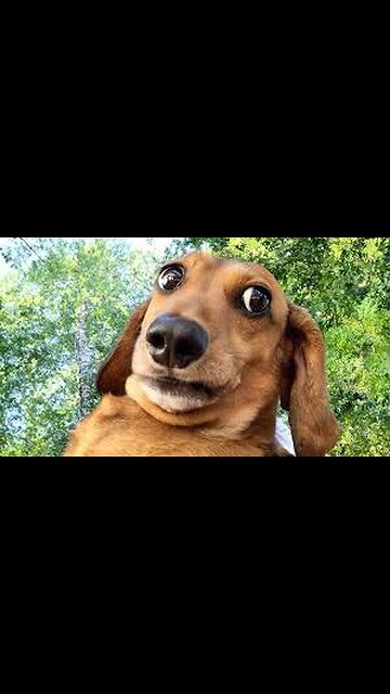 Funniest Fails of the Week | I'm a Complete Moron