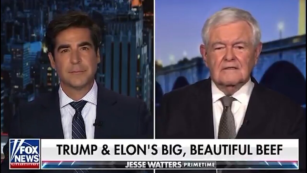 Gingrich On Musk And Trump Feud
