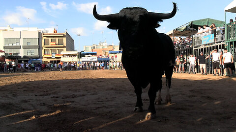 2025 10 07 ALQUERIAS PATRONALES