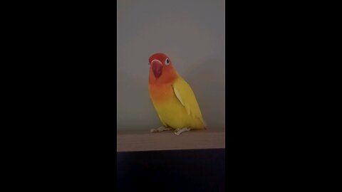 Get off the tv