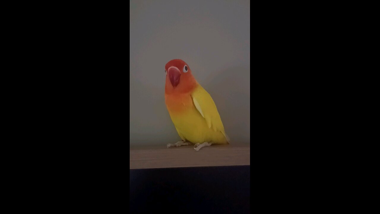 Get off the tv