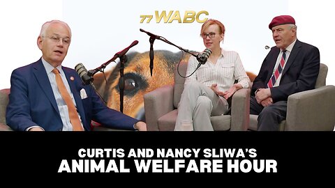 Fighting for the Voiceless with Bob Holden