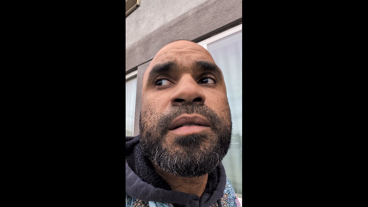 backseats trash all right gel kitty cat fish.