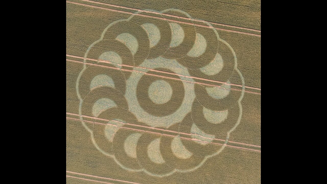 Another Crop Circle ⭕️Devon England June 28, 2025… more embedded