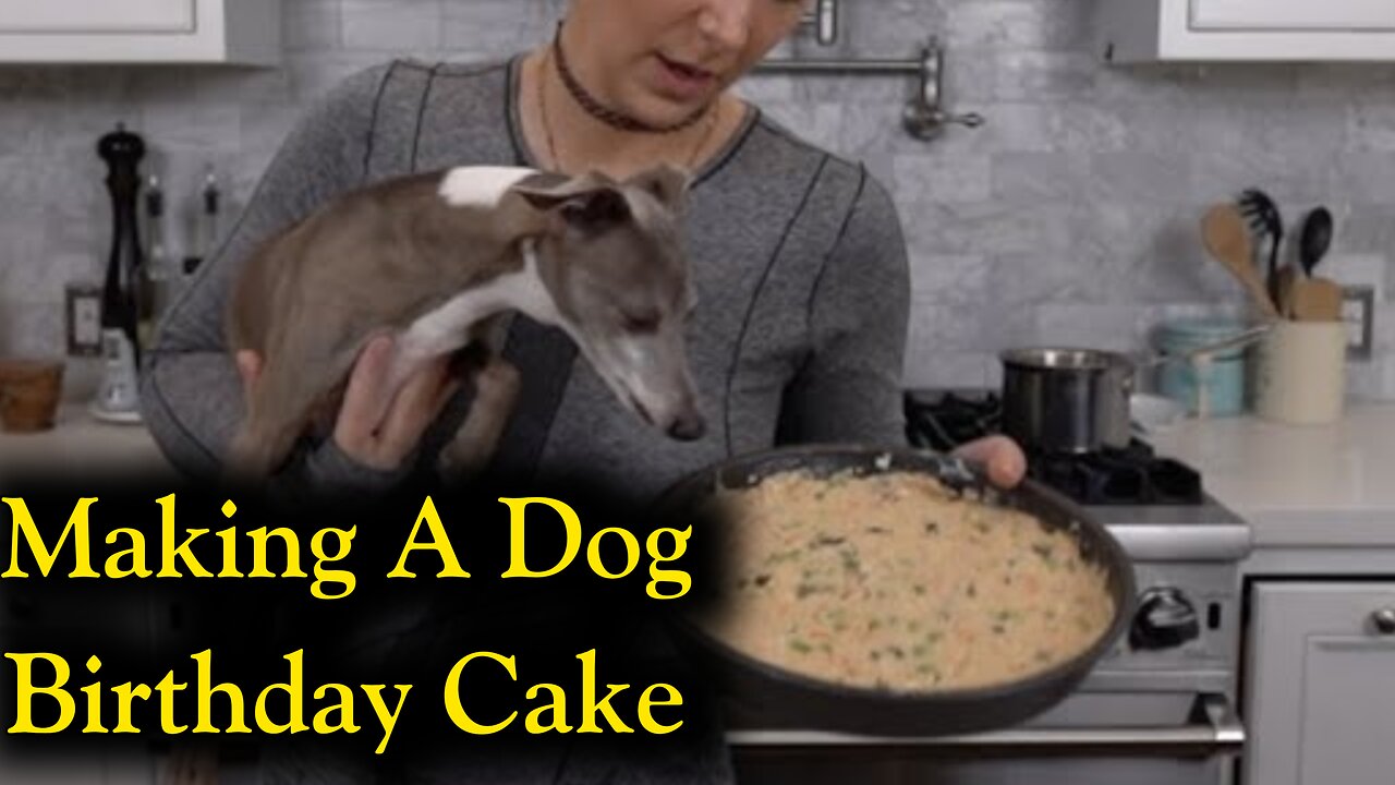 Making A Dog Birthday Cake