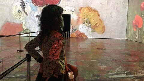 Winnipeg, Van Gogh expo, RBC Center