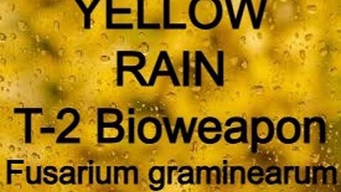 Yellow Rain T 2 BioWeapon Fusarium graminearum - Decanterbury