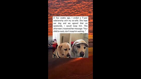 Man Welcomes Dog For Weekend After Breakup
