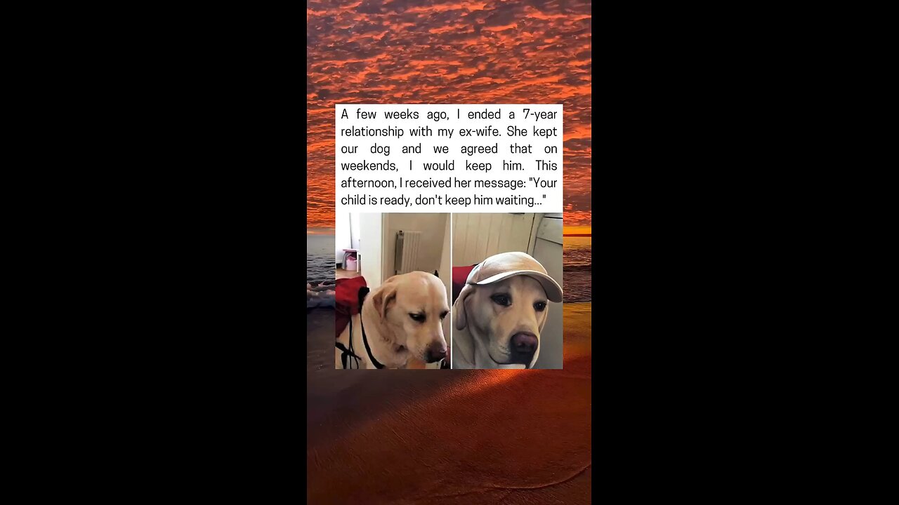 Man Welcomes Dog For Weekend After Breakup