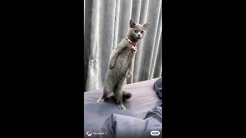 funny