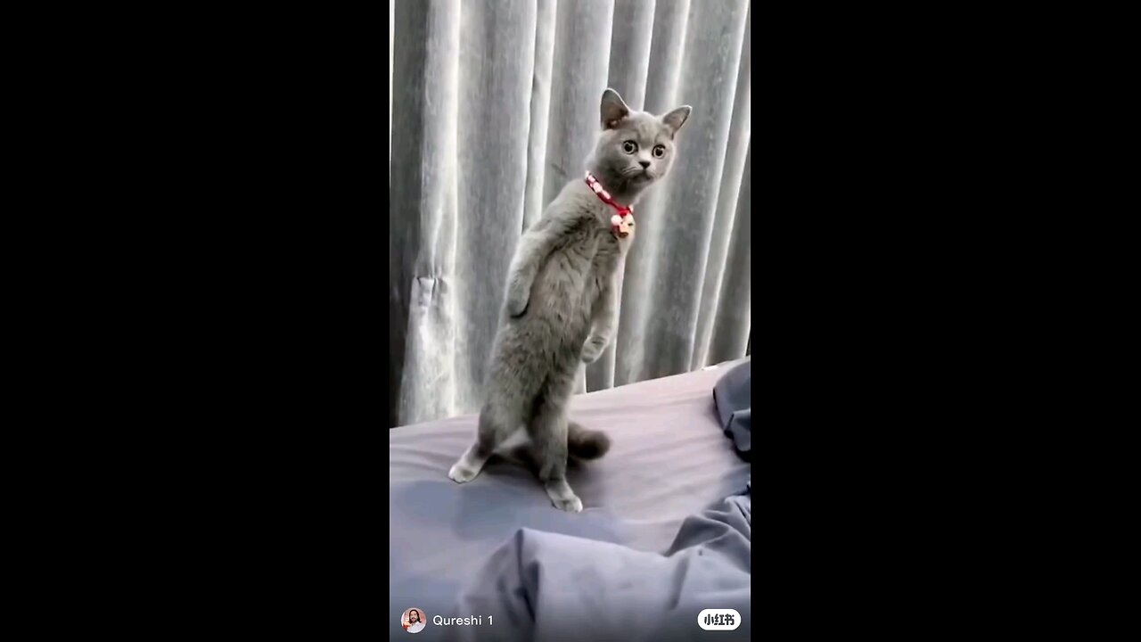 funny