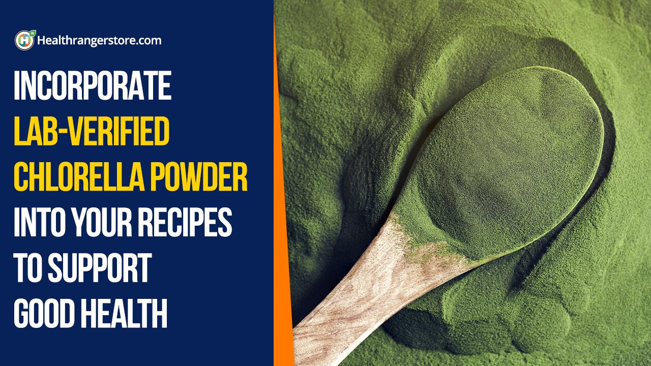 Incorporate lab-verified Chlorella Powder into your recipes to support good health