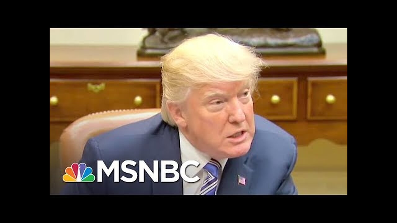 Language Expert: Donald Trump's Way Of Speaking Is 'Oddly Adolescent' | The 11th Hour | MSNBC