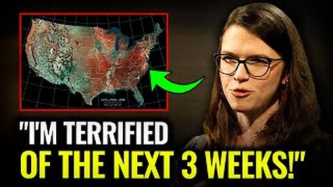 We've Never Survived Anything This Insane!" - Whitney Webb