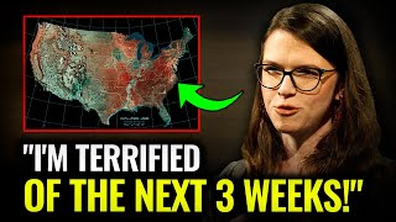 We've Never Survived Anything This Insane!" - Whitney Webb