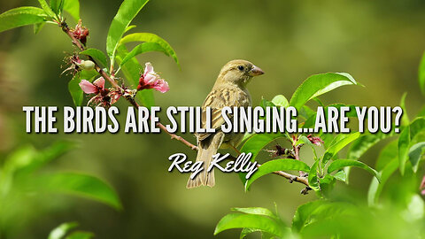 Reg Kelly - The BIRDS are STILL SINGING…Are You?