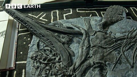 Sir David Attenborough Fossil Hunts on Britain's Jurassic Coast | BBC Earth