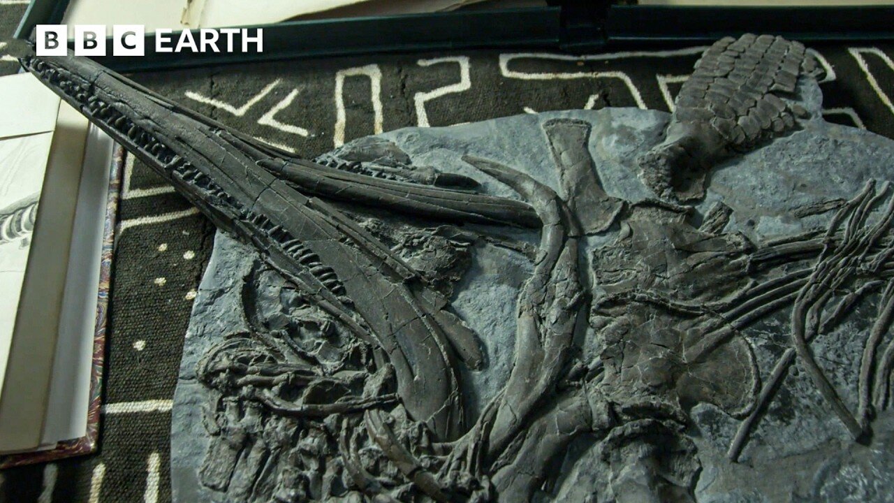 Sir David Attenborough Fossil Hunts on Britain's Jurassic Coast | BBC Earth