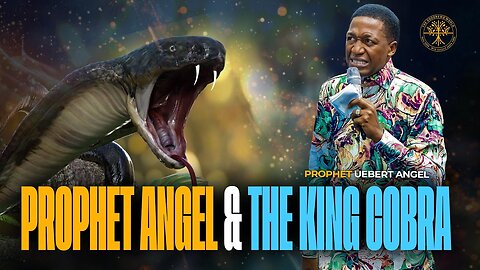 SHOCKING 🚨Prophet Angel faces a king cobra and this happens 🤯