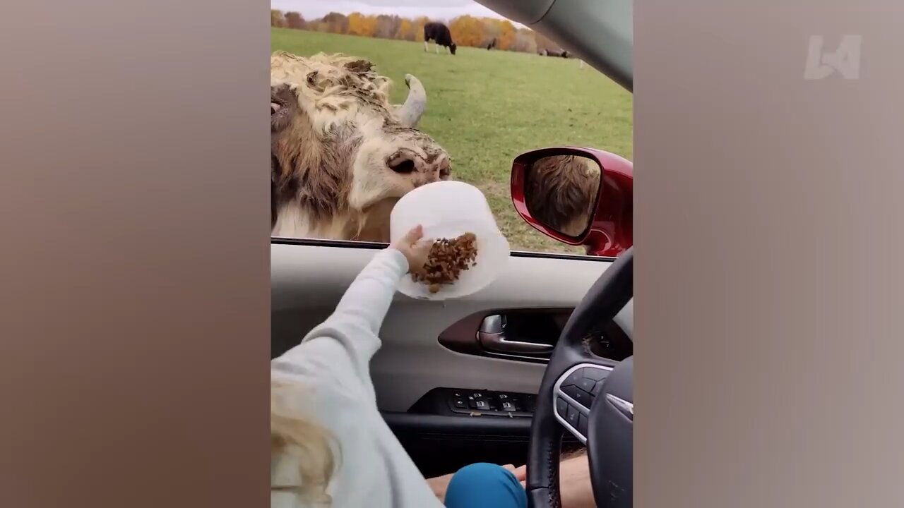 Hilarious fails of the week-best funny videos
