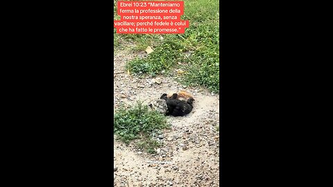 Ebrei 10:23 “Manteniamo