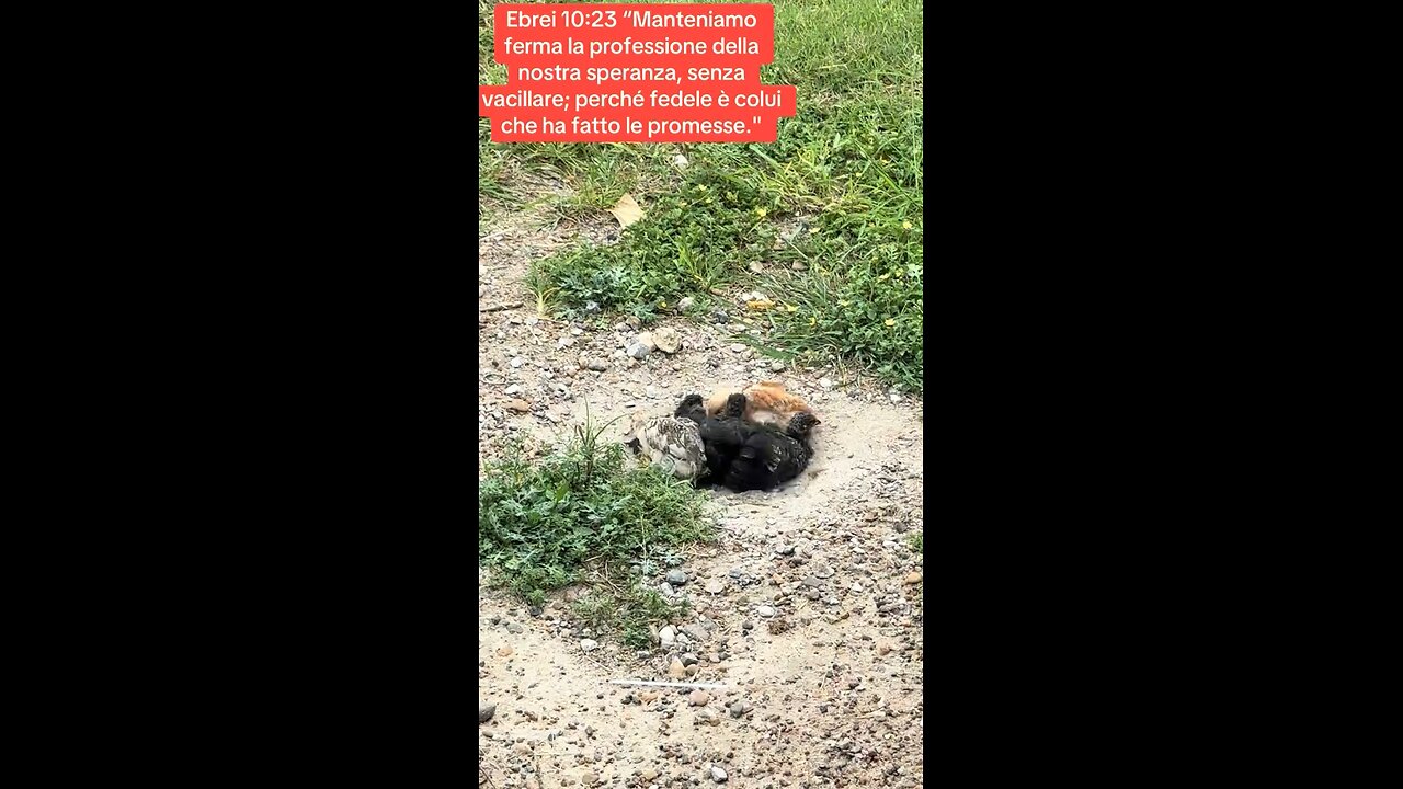 Ebrei 10:23 “Manteniamo