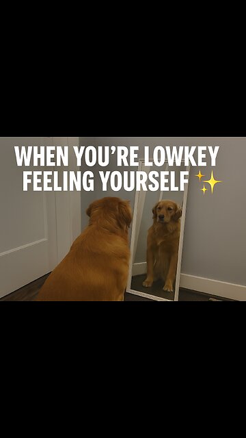 When you finally realize… you been that dog. 🐶💅✨ #SelfLove”