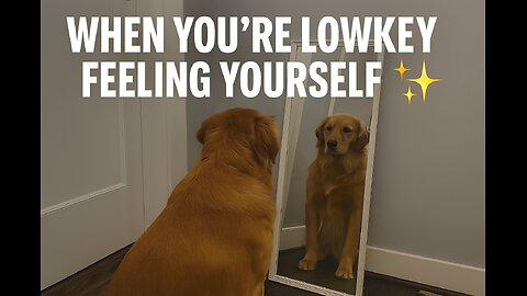 When you finally realize… you been that dog. 🐶💅✨ #SelfLove”