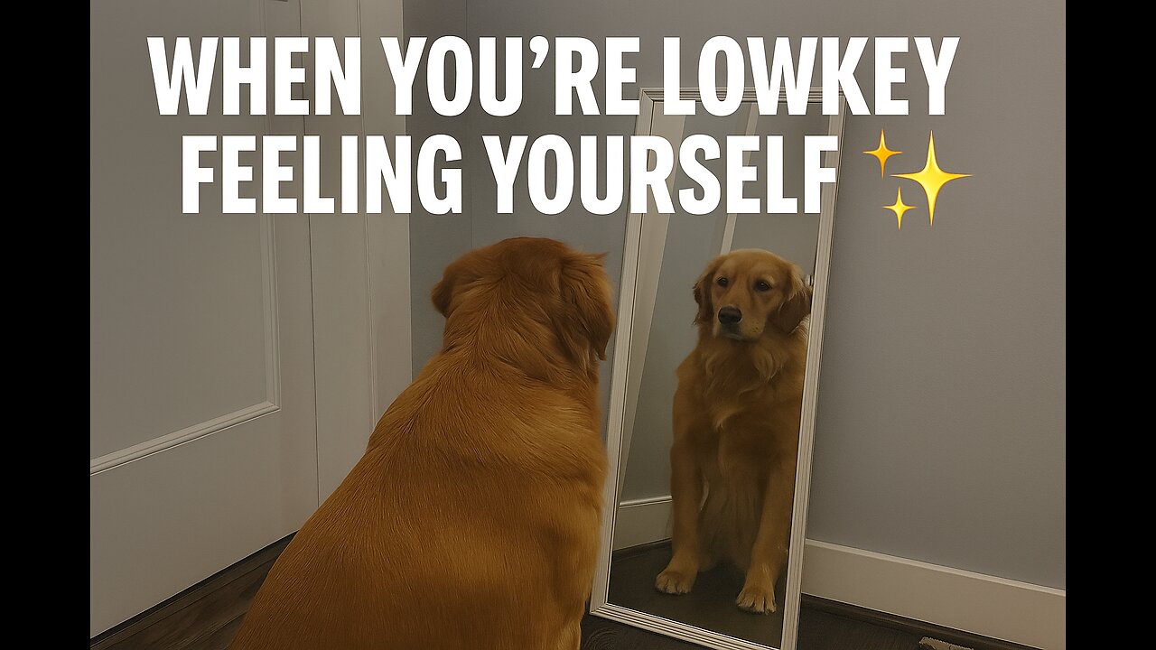 When you finally realize… you been that dog. 🐶💅✨ #SelfLove”
