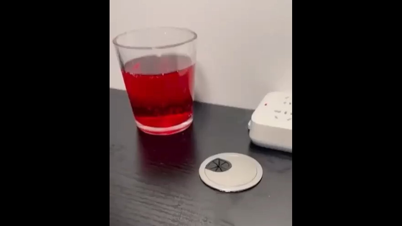 Try not to laugh - Cat